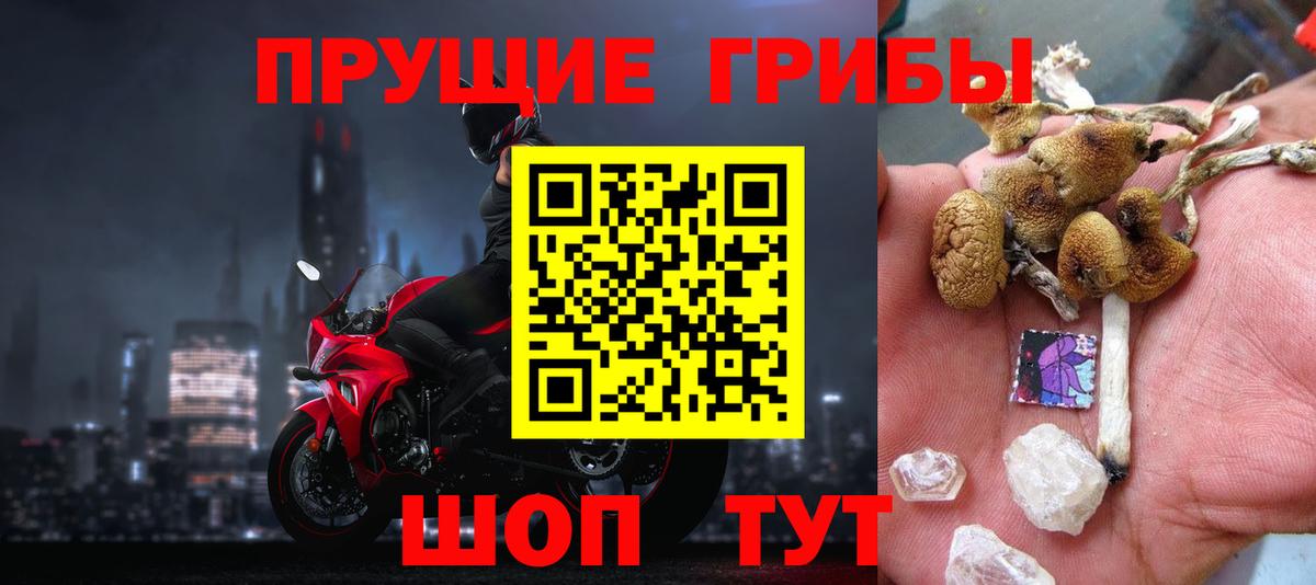 Псилоцибиновые грибы Cubensis Азов