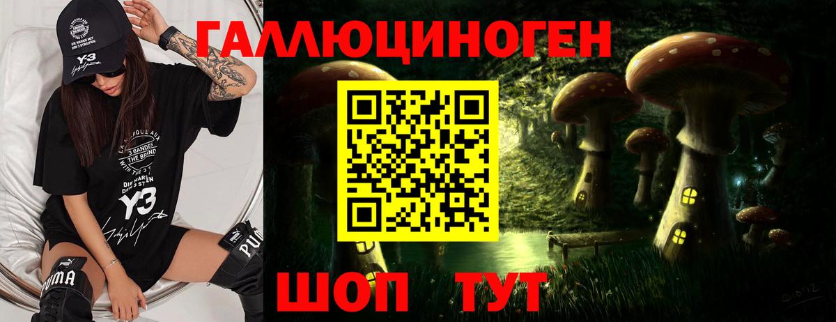 Азов  Псилоцибиновые грибы мицелий  Вход с VPN 